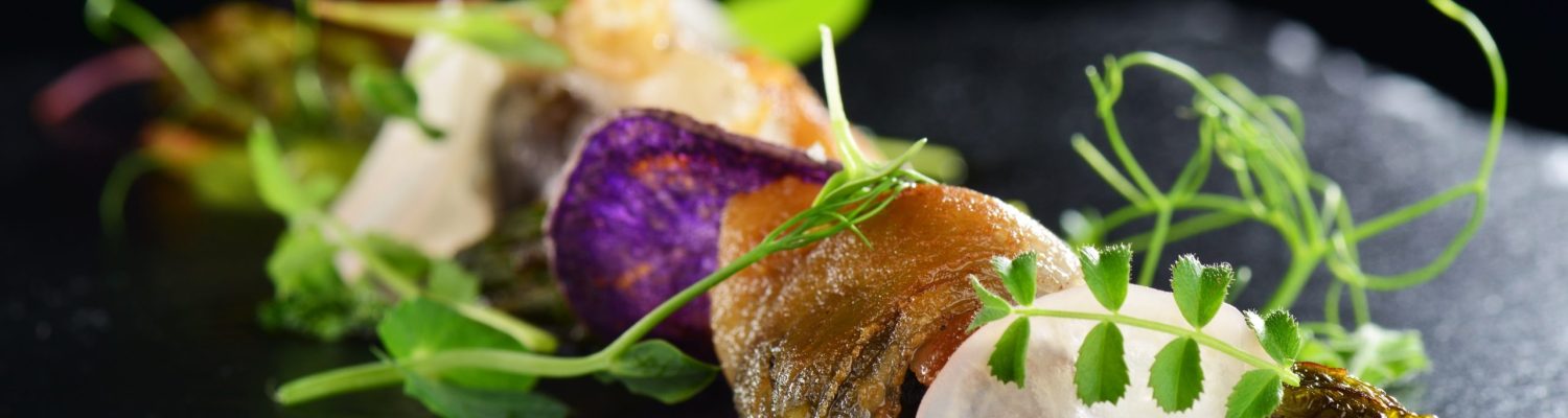 image d'illustration, brochette de poisson